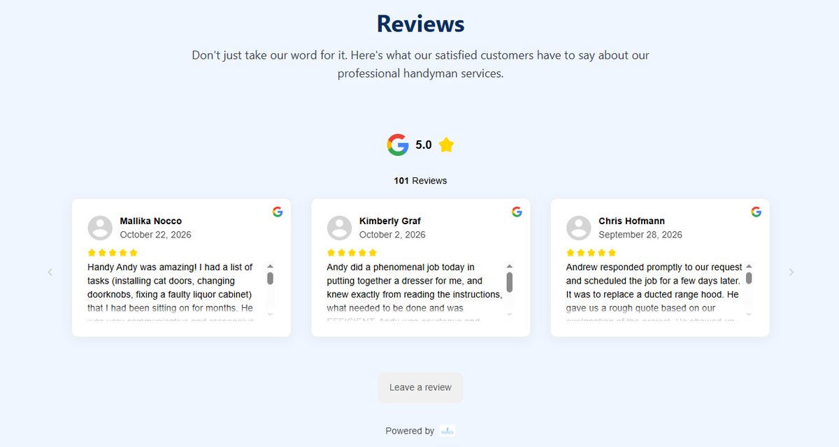 The reviews section: Google 5.0 with 101 reviews and three cut-off review cards